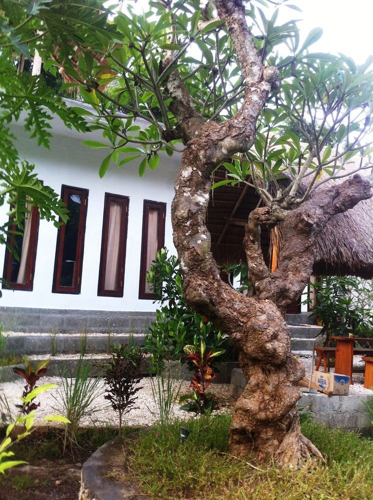 Villa Green House Ped Luaran gambar