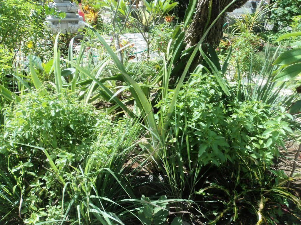 Villa Green House Ped Luaran gambar
