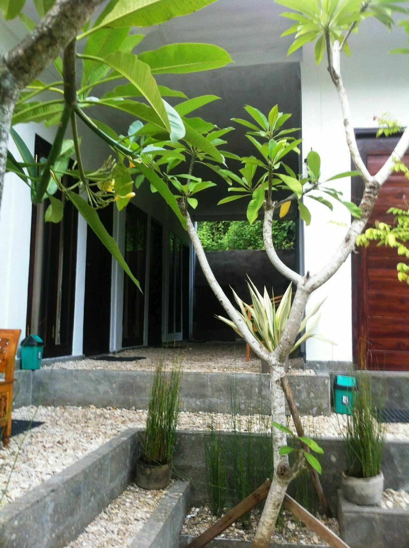 Villa Green House Ped Luaran gambar