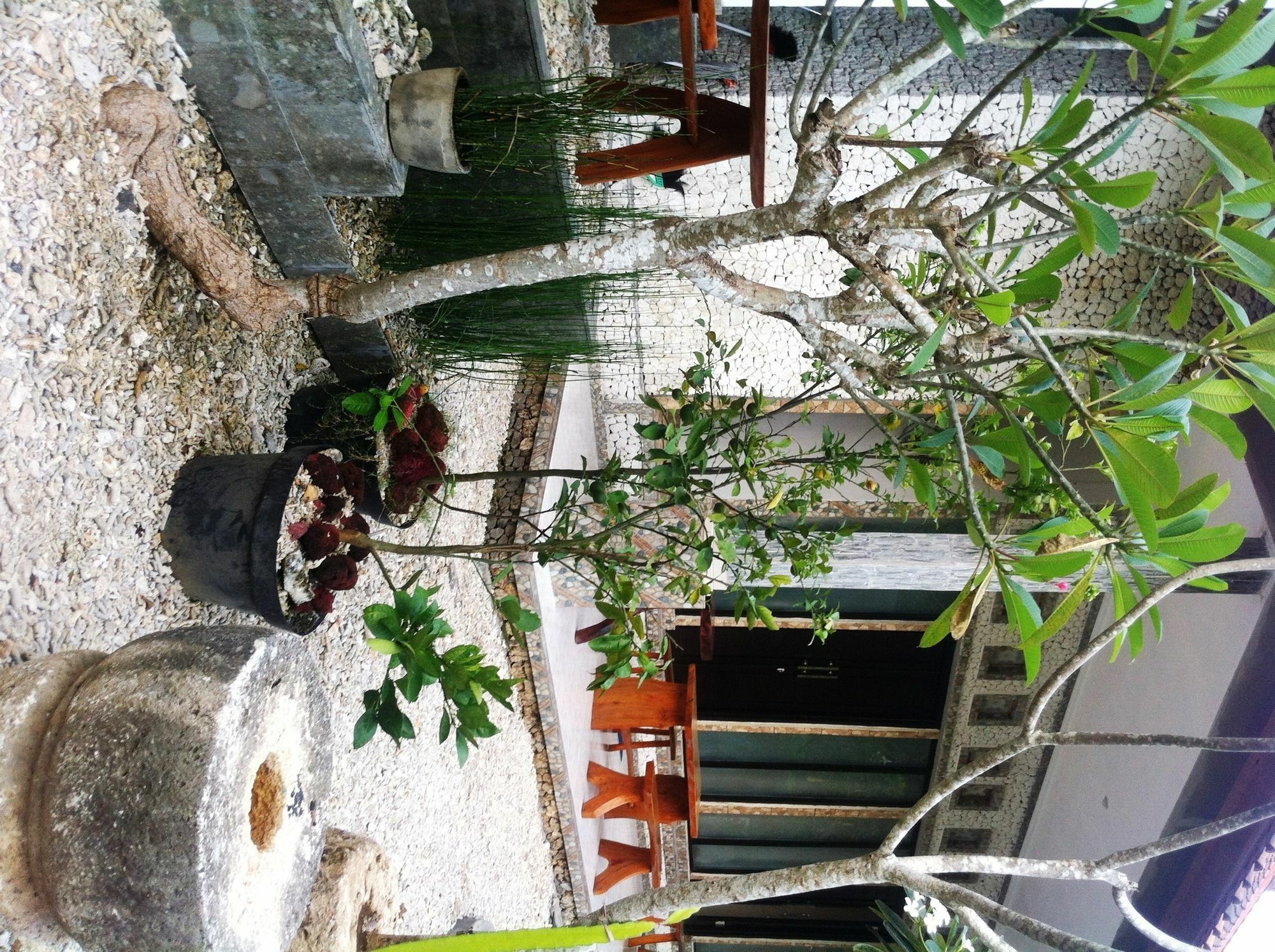 Villa Green House Ped Luaran gambar