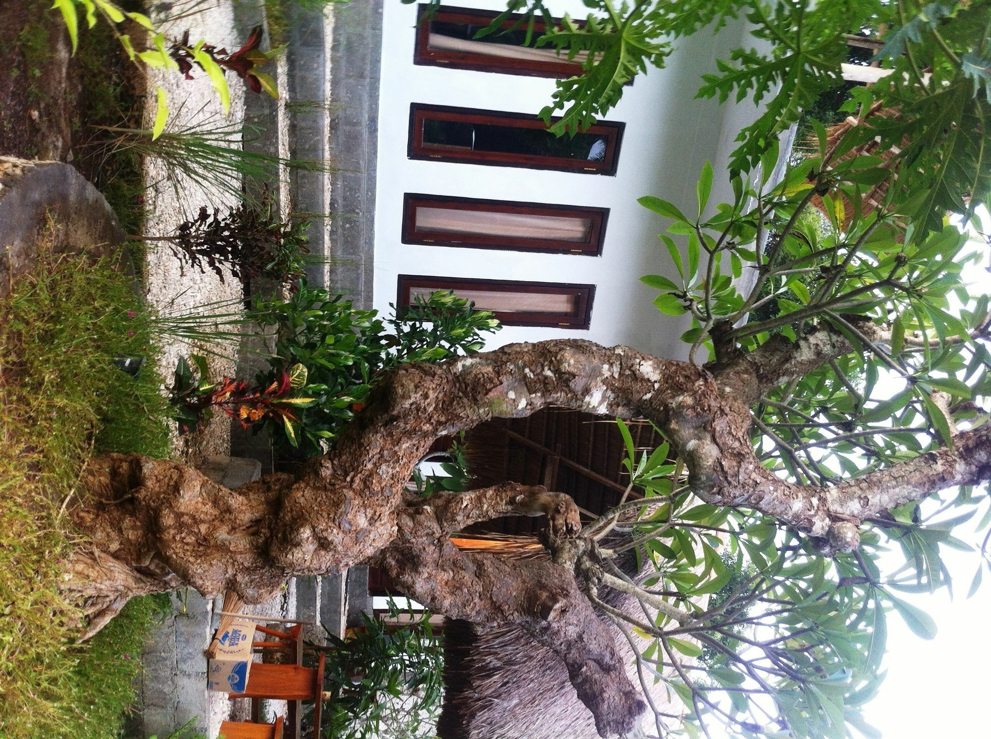 Villa Green House Ped Luaran gambar