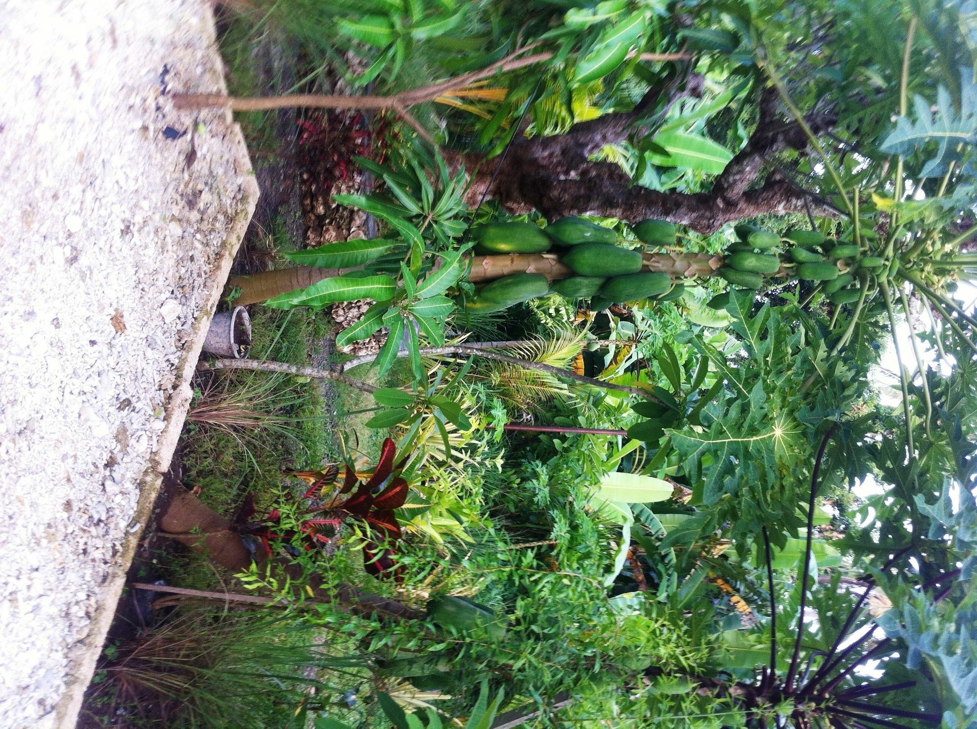 Villa Green House Ped Luaran gambar